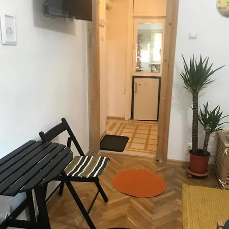 Armeneasca Cozy Apartmán *